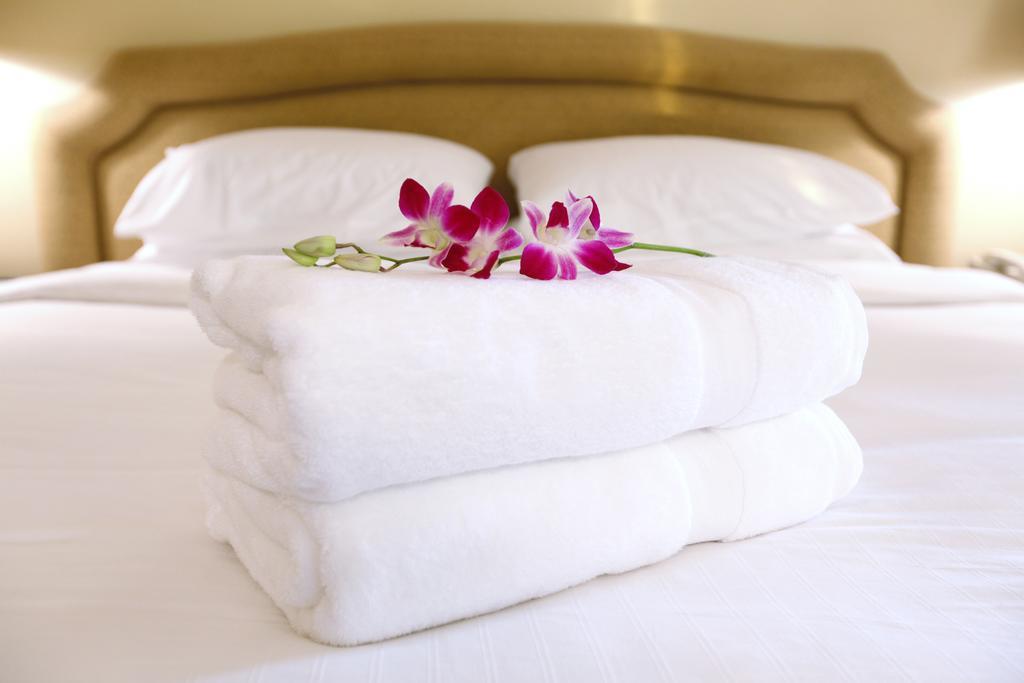Bellini Room&breakfast 5* Porto Garibaldi